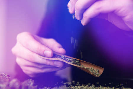 Close up marijuana joint with lighter. Man rolling marijuana cannabis blunt. Man rolling a marijuana weed blunt. light licks color toned light leaksの写真素材