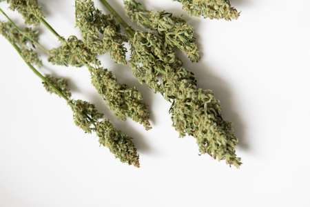 A bouquet of dry cannabis buds. White background . Marijuana close up. Natural medical pot. CBD THC weed.の写真素材