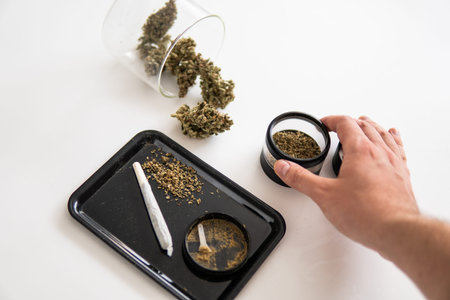 The pot leaves on buds THC CBD. Indica Sativa medical health. Grinder and cannabis weed bud.