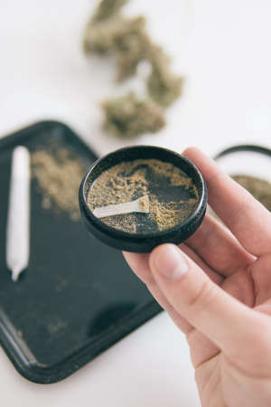 Indica Sativa medical health. Marijuana nature bud. Close up vertical shot. Grinder and cannabis weed bud. White background. Kief in grinder. The pot leaves on buds THC CBD.の写真素材