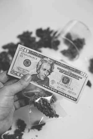 Sativa medical health. Marijuana bud and banknotes of dollars. Cannabis money black market. The pot buds. Black and white. White background. Cannabis in Economics. Money weed. Vertical shot .の写真素材