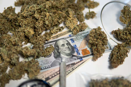 Marijuana bud and banknotes of dollars. CBD THC herb. Sativa medical health. Money weed. The pot buds. Cannabis money black market. Cannabis in Economics. White background.の写真素材