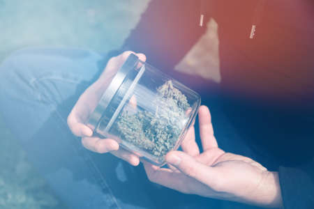 Natural background. Sativa THC CBD. Marijuana weed bud and grinder. Cannabis nature bud in hand. Indica medical health. light leaks tonedの写真素材