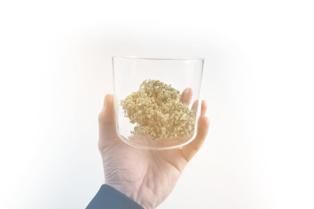 Marijuana nature. White background. The sugar pot leaves on buds. CBD THC herb. cannabis buds in...
