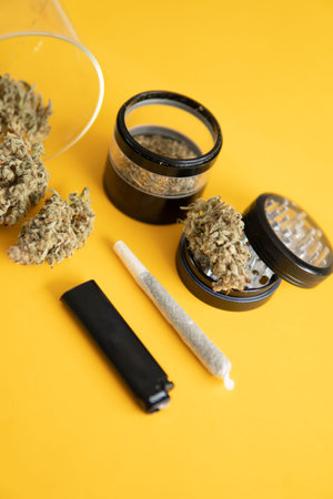 Sativa THC CBD. Marijuana weed bud and grinder. Joint weed. The pot leaves on buds. Indica medical health. Yellow background. Cannabis nature bud. Vertical shot .の写真素材