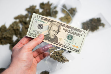 CBD THC herb. White background. Cannabis in Economics. Money weed. Sativa medical health. Marijuana bud and banknotes of dollars. Cannabis money black market. The pot buds.の写真素材