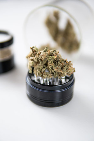 Cannabis weed bud and grinder. Marijuana nature bud. The pot leaves on buds. THC CBD. Sativa Indica...
