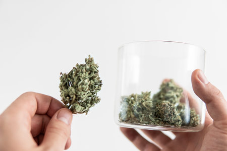 Sativa medical health. cannabis buds in glass jar. Mans hands marijuana bud. Marijuana nature. CBD...