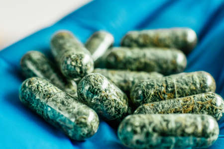 Cannabis Extract, Oil THC CBD Cannabis Oncology Treatment. close up, product of hemp, medical marijuana . Pills with cannabis in the hands of a doctor.のeditorial素材