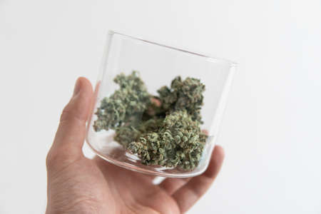 Harvest weed time. Mans hands trimming marijuana bud. The sugar pot leaves on buds. Marijuana nature. cannabis buds in glass jar. White background. CBD THC herb. Sativa medical health.の写真素材