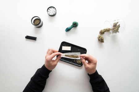 The sugar pot leaves on buds. White background. Top view. Sativa medical health. Mans hands marijuana bud. CBD THC herb. cannabis buds in grinder. Marijuana nature.の写真素材