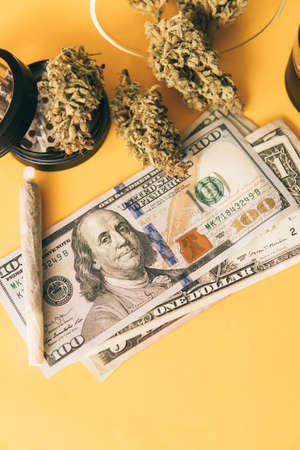 Cannabis nature bud. Yellow background. Sativa THC CBD. Indica medical health. The pot leaves on buds. Marijuana weed bud and grinder. Joint weed. Vertical shot .の写真素材