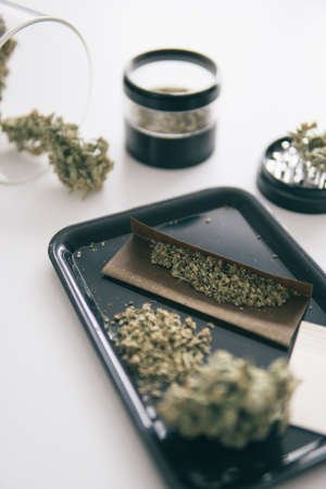 Marijuana nature bud THC CBD . The pot leaves on buds. Cannabis weed bud and grinder. White background. Sativa Indica medical health.の写真素材