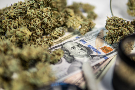 Cannabis in Economics. White background. Marijuana bud and banknotes of dollars. CBD THC herb....