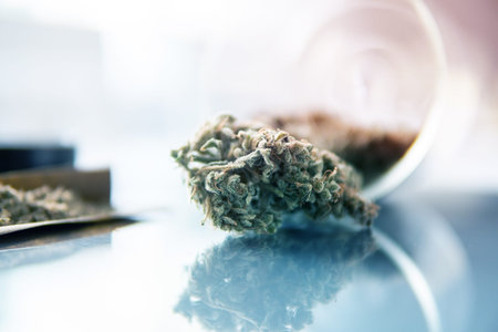 The pot leaves on buds THC CBD. White background.の写真素材