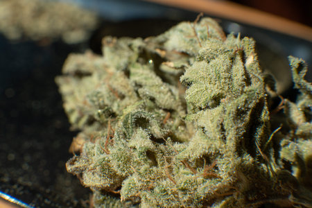 Marijuana nature bud close up.