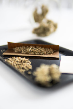CBD THC herb. Marijuana bud. Sativa medical health. Marijuana nature. Top view. cannabis buds in...