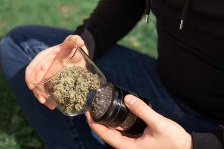 Natural background. Sativa THC CBD. Marijuana weed bud and grinder. Indica medical health. Cannabis...