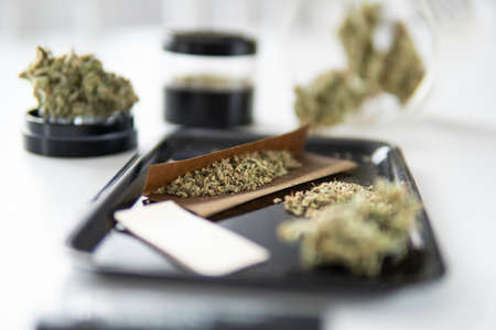 Sativa Indica medical health. Cannabis weed bud and grinder. White background.の写真素材