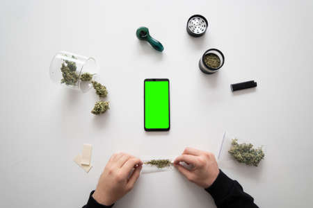 Smartphone mockup Green screen. Sativa medical health. The sugar pot leaves on buds. Mans hands marijuana bud.の写真素材