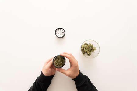 Mans hands marijuana bud. CBD THC herb. Marijuana nature. cannabis buds in grinder.の写真素材