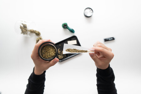 Mans hands marijuana bud. The sugar pot leaves on buds.