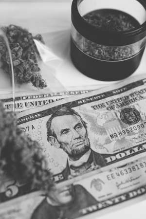 Cannabis money black market. White background. Sativa medical health. Marijuana bud and banknotes of dollars. Money weed. CBD THC herb. The pot buds. Black and white.の写真素材
