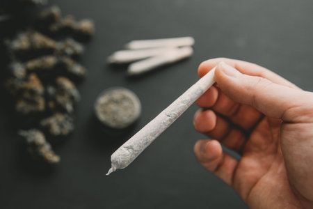 Preparing and rolling marijuana cannabis joint. Close up of marijuana blunt with grinder. Rolling a...