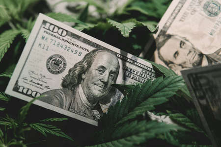 Tax on dispenser. Money and cannabis. Pot finance. Revenues in the marijuana industry and the medical. Dollar usa bill on cannabis leaves. Taxation and marijuana. The economy of marijuana industry.の写真素材
