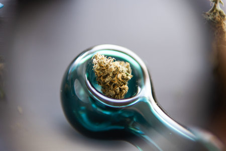 Cannabis legalization. CBD and THC in cannabis buds.の写真素材