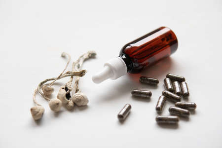 Magic shroom . Dry Psilocybe cubensis. Medicines physical. Psilocybin mushroom .の写真素材