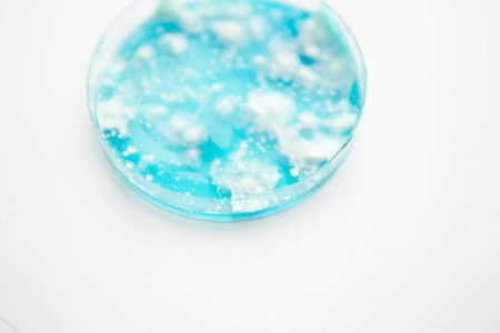 Psilocybin mushroom. Magic shroom in hand. Dry Psilocybe cubensis. energy micro dosing. Medicines physical. Psychedelic microdosing.の写真素材