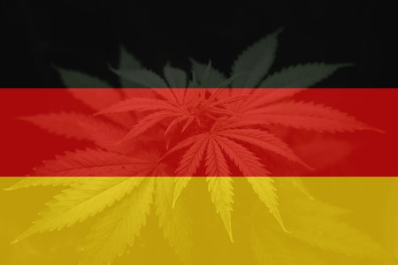 Cannabis legalization in the Hungary. leaf of cannabis marijuana on the flag of Hungary. Medical cannabis in the Hungary. Weed Decriminalization in US.の写真素材