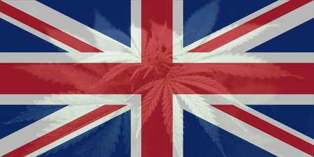 Weed Decriminalization in England. Medical cannabis in the UK. Cannabis legalization in the United Kingdom. leaf of cannabis marijuana on the flag of great britain.の写真素材