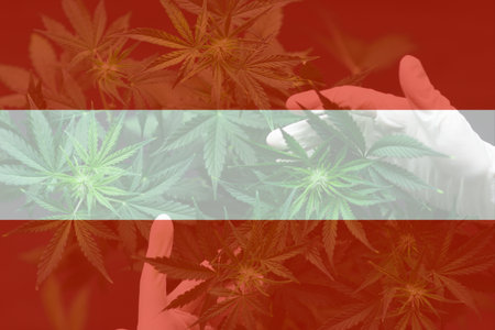 leaf of cannabis marijuana on the flag of Avstriya. Cannabis legalization in the Avstriya. Weed Decriminalization in Avstriya. Medical cannabis in the Avstriya.の写真素材