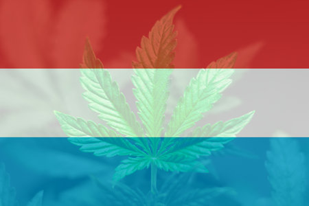 Medical cannabis in the Luxembourg. leaf of cannabis marijuana on the flag of Luxembourg. Cannabis legalization in the Luxembourg. Weed Decriminalization in Luxembourg.の写真素材