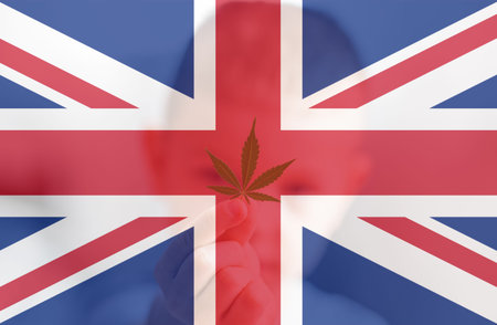 Cannabis legalization in the United Kingdom. leaf of cannabis marijuana on the flag of great britain. Weed Decriminalization in England. Medical cannabis in the UKの写真素材