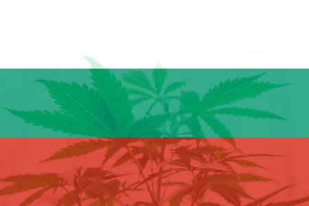 Cannabis legalization in the Bulgaria. Weed Decriminalization in Bulgaria. Medical cannabis in the Bulgaria. leaf of cannabis marijuana on the flag of Bulgaria.の写真素材