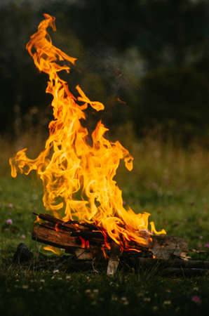 Campfire with wood in the middle of the field on a cold dayの写真素材