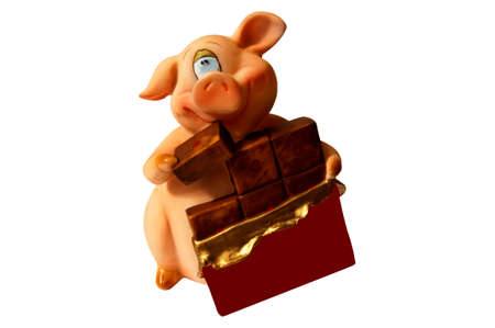 Typical bank pig piggy bankの写真素材