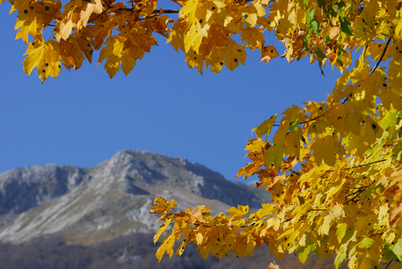 Autumn in the national park Abruzzo Lazio Moliseの写真素材