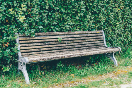 Bench in the park with green leaves in the background - vintage filterの写真素材
