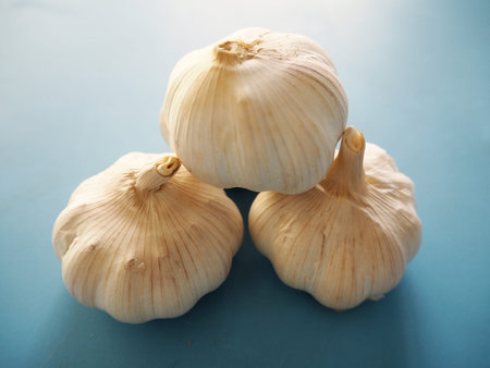 garlicの写真素材