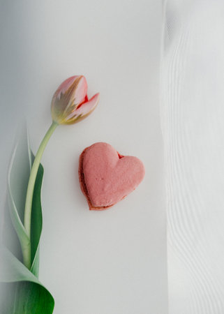tulips and heart-shaped cookies on a white background.の写真素材