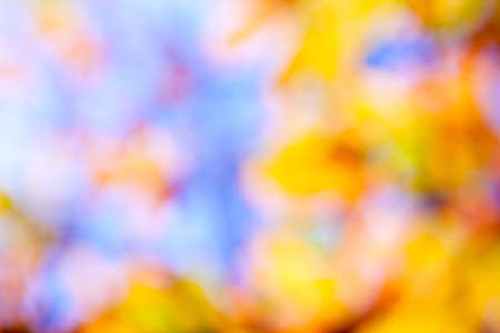Defocused abstract bokeh of orange autumn foliage for use at graphic designの写真素材