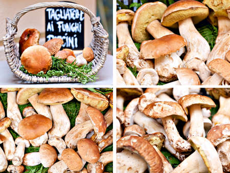 Set of images of Closeup bunch of Porcini mushrooms at the market in Italyの写真素材