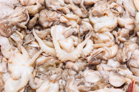 Fresh octopus stack closeup at the seafood market. Display of calamari catch of the day