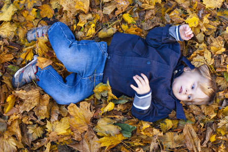 Toddler blond boy with blue eyes lays on bed of autumn fallen leavesの写真素材