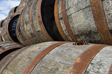 Butterfly on stacked pile of old wooden barrels and casks at whisky distillery in Scotland.の写真素材