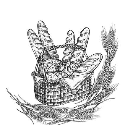 Hand drawn vintage vector illustration - Bakery Basketのイラスト素材